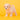 Cavapoo Hembra
