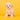 Cavapoo Hembra
