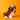 Shihtzu Macho
