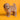 Cavapoo Hembra