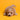 Cavapoo Hembra