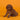 Cavapoo Macho