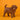 Cavapoo Hembra