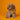 Cavapoo Macho